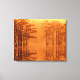 Lienzo Cypress Trees Parque Estatal George Smith