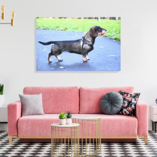 Lienzo dachshund cableado lleno