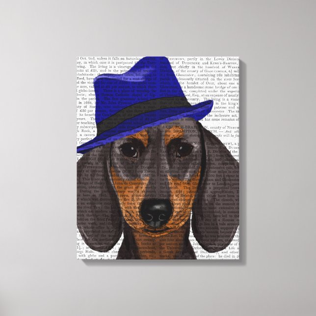 Lienzo Dachshund Con Trilby Azul (Anverso)