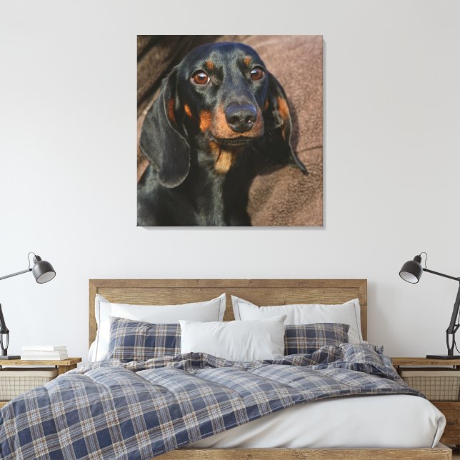 Lienzo dachshund negro y marrón (Insitu(Dormitorio))