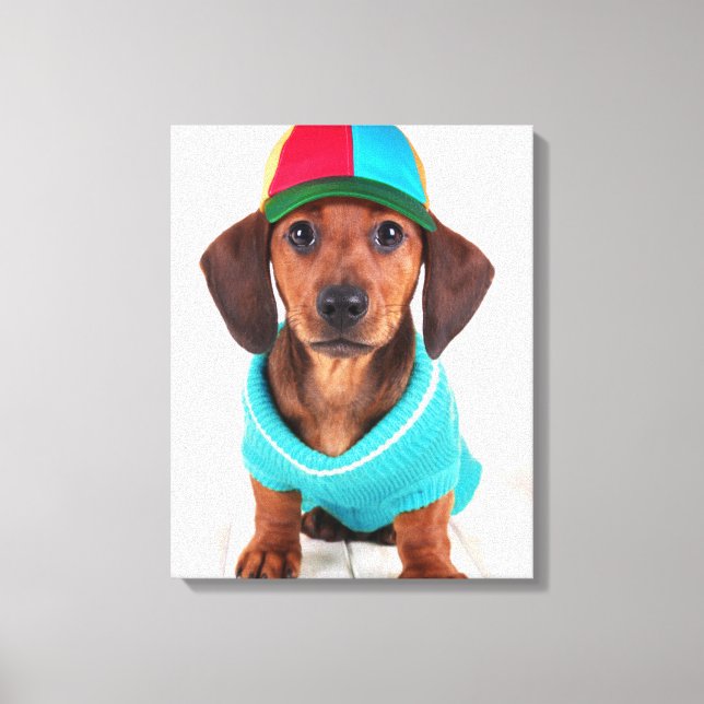 Lienzo Dachshund Puppy Con El Gorra De La Hélice (Anverso)