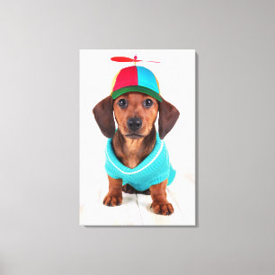 Lienzo Dachshund Puppy Con El Gorra De La Hélice