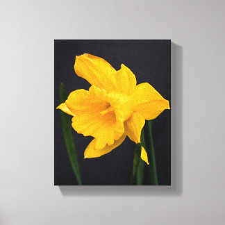 Lienzo Daffodil amarillo