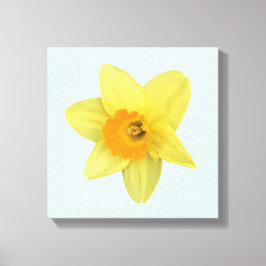 Lienzo Daffodil de primavera amarilla