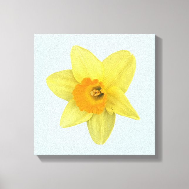 Lienzo Daffodil de primavera amarilla (Anverso)