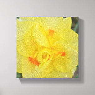 Lienzo Daffodil escabroso
