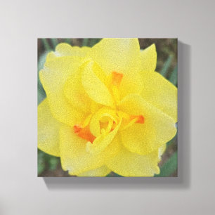 Lienzo Daffodil escabroso