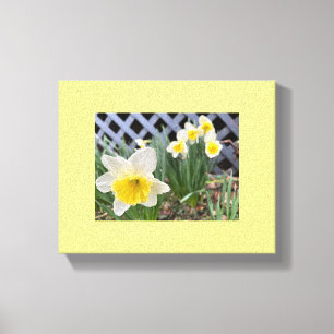 Lienzo Daffodils amarillos