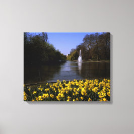 Lienzo Daffodils St James Park Londres