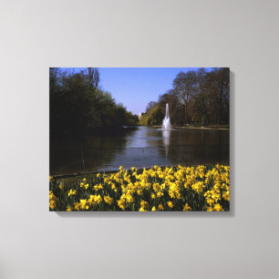 Lienzo Daffodils St James Park Londres