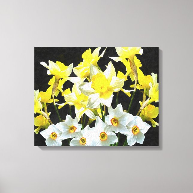 Lienzo Dafóditos Amarillos Y Narcisos Blancos En Gris (Anverso)