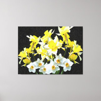 Lienzo Dafóditos Amarillos Y Narcisos Blancos En Gris