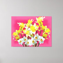Dafóditos Amarillos Y Narcissi Blanco Viva Magenta