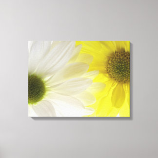 Lienzo Daisies amarillos y blancos