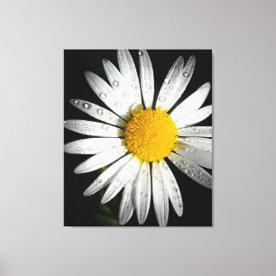 Lienzo Daisy