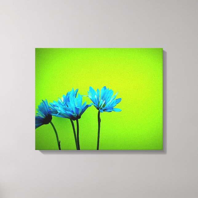 Lienzo Daisy (Anverso)