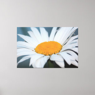 Lienzo Daisy con grises azules