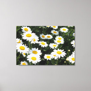 Lienzo Daisy Days Stretch Canvas Print