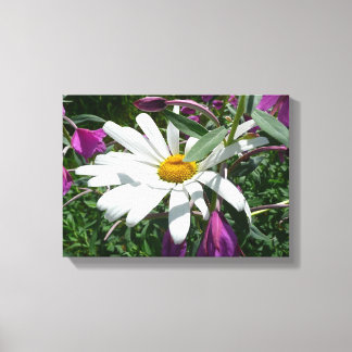 Lienzo Daisy y Fireweed Wildflower