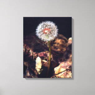 Lienzo Dandelion