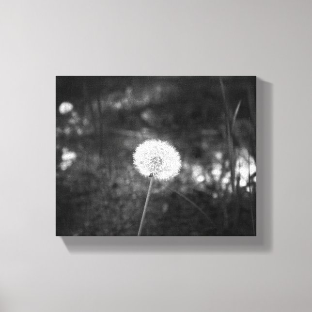 Lienzo Dandelion blanco y negro en los bosques 8x10 (Anverso)