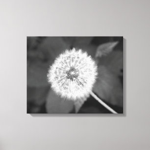 Lienzo Dandelion blanco y negro frente a hojas 16x20