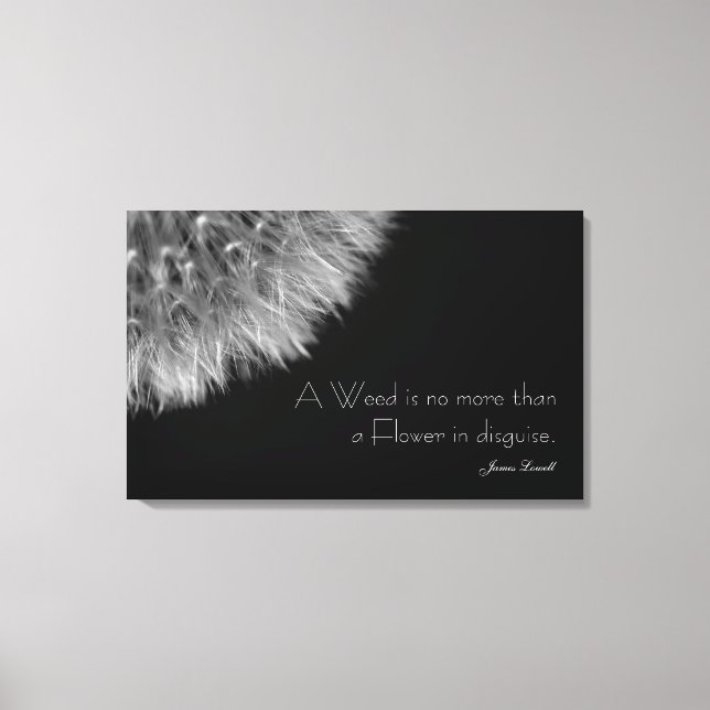 Lienzo Dandelion en blanco y negro con cita (Anverso)
