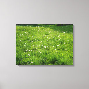Lienzo Dandelion Meadow
