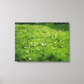 Lienzo Dandelion Meadow