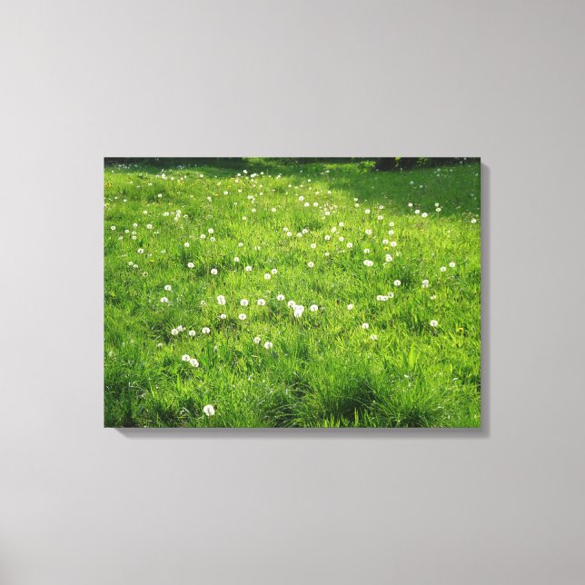 Lienzo Dandelion Meadow (Anverso)
