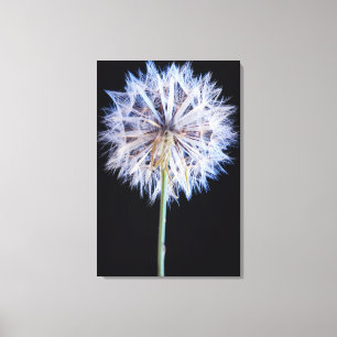 Lienzo Dandelion (Taraxacum officinale) Jefe de Semillas