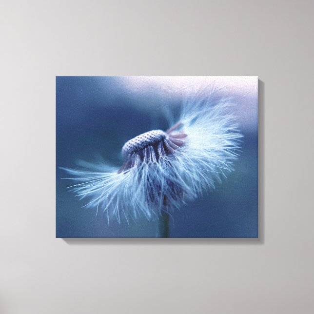 Lienzo Dandelion Wrapped Canvas Art (Anverso)