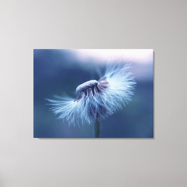 Lienzo Dandelion Wrapped Canvas Art (Anverso)