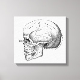 Lienzo Dark Academia Skull Canvas Art