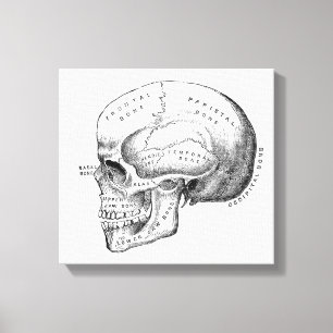 Lienzo Dark Academia Skull Canvas Art
