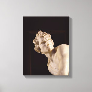 Lienzo David, 1623-24 (mármol) (detalle)