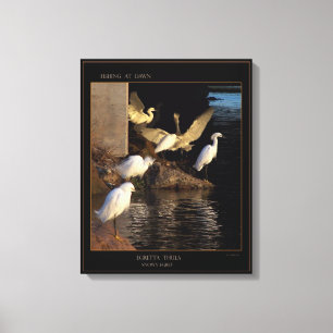 Lienzo Dawn Snowy Egrets Wrapped Canvas