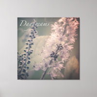Daydream Mountain Holly