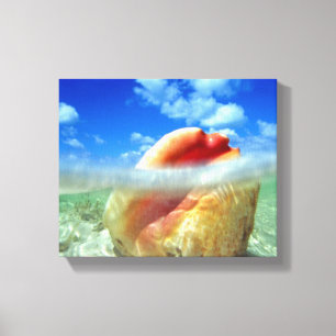 Lienzo de alta marea de Conch Shell