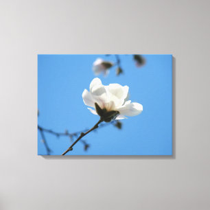 Lienzo de arte de cielo azul Impresiones de flores
