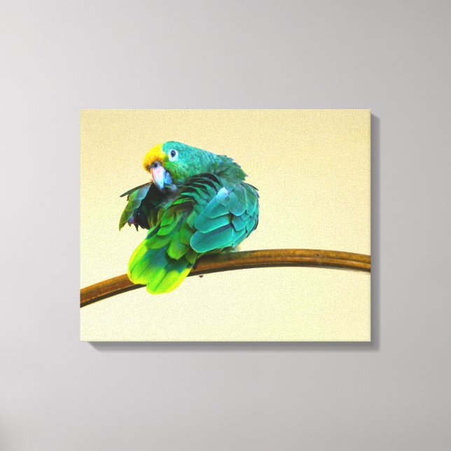 Lienzo de arte de pared con fotografía de loro (Anverso)