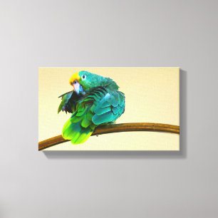 Lienzo de arte de pared con fotografía de loro