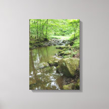 Lienzo de Arte de Pared de Bosque Brumoso | Natura
