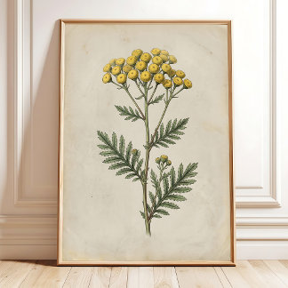 Lienzo de Arte de Pared Vintage de Cottage Botánic