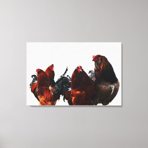 Lienzo de arte fotográfico de gallos de gallos