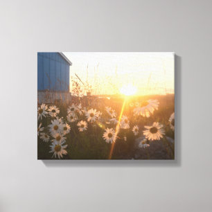 lienzo de atardecer ártico