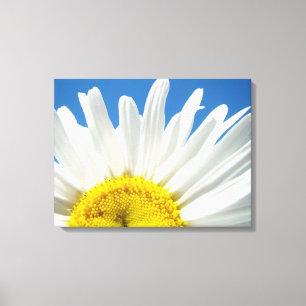 Lienzo de Bellas Artes Margarita Blanca Cielo Azul
