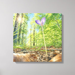 Lienzo de bosque de primavera y flor de crocus en 