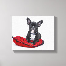 Lienzo de bulldog francés