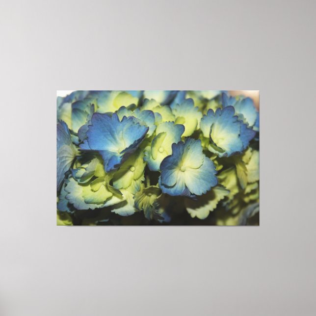 Lienzo de diseño floral azul (Anverso)